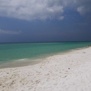 Meet your Posher, Marques